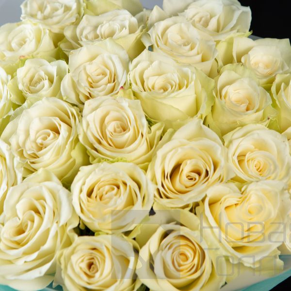 Букет 25 белых роз Кения 40 см  в упаковке