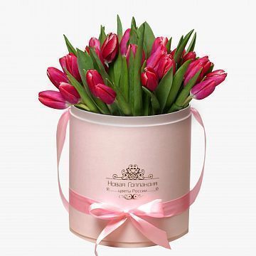 35 малиновых тюльпанов в розовой шляпной коробке №227 35 малиновых тюльпанов в розовой шляпной коробке №227