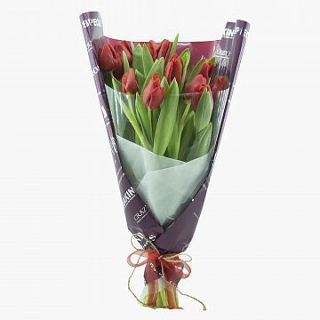 Букет 15 красных тюльпанов-3 Букет 15 красных тюльпанов-3