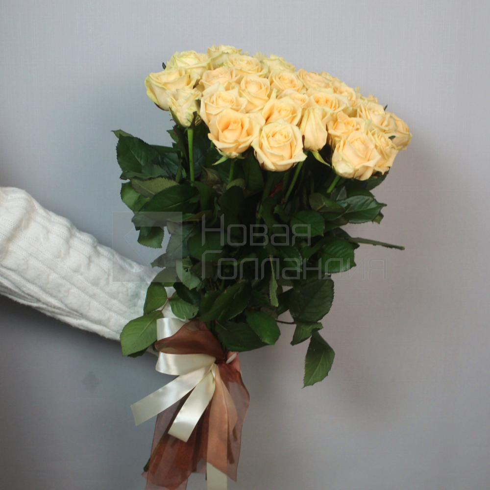 25 кремовых роз 70 см