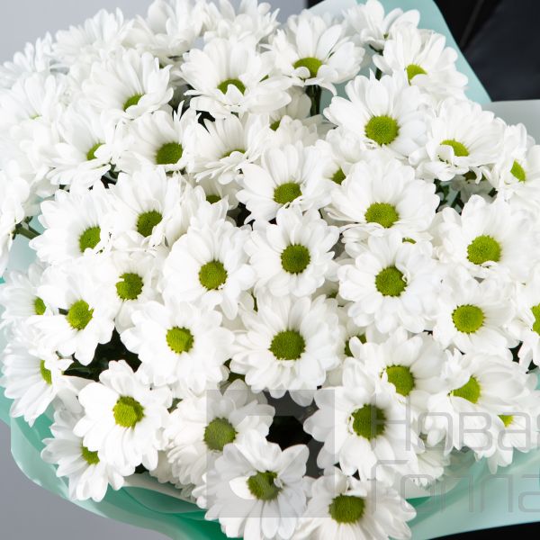 Букет 9 белых ромашковых хризантем