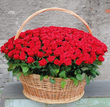 Композиция 301 красная роза в корзине Композиция 301 красная роза в корзине