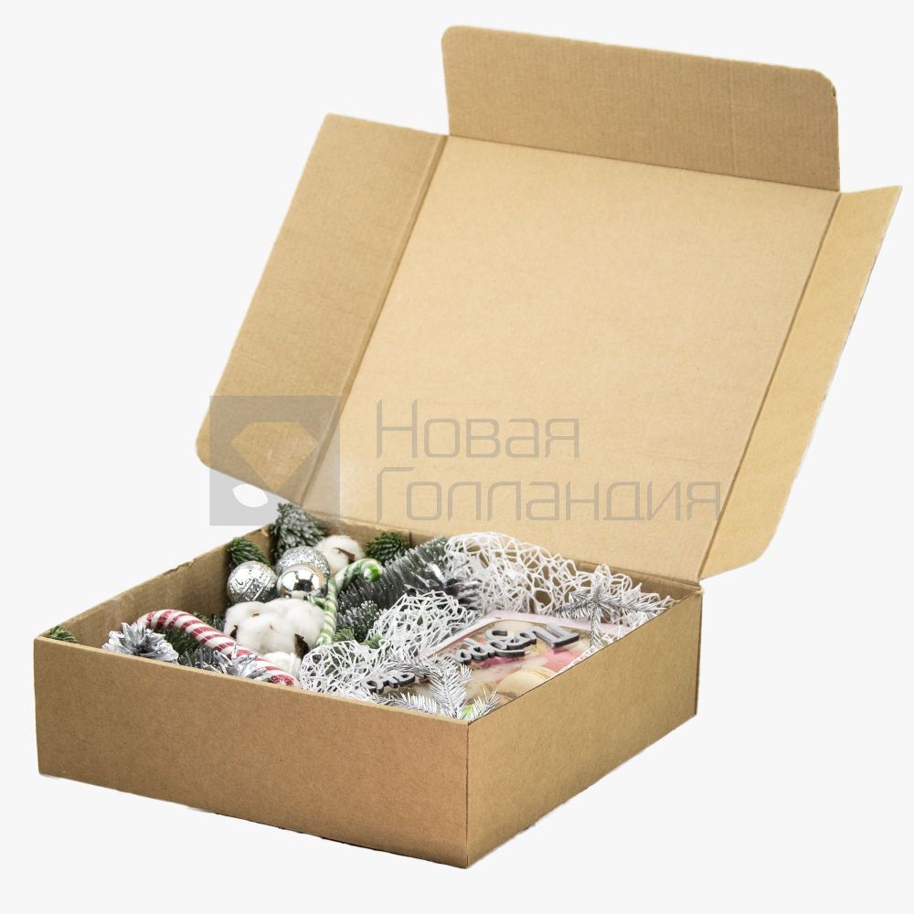 Новогодний подарок-5