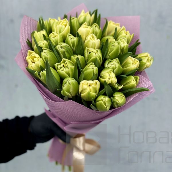 Букет 35 белых пионовидных тюльпанов