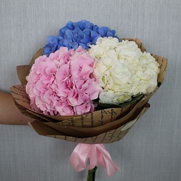 Букет из 3 Гортензий