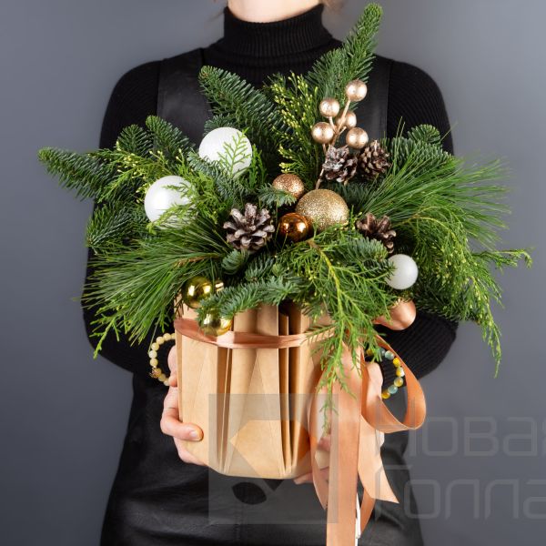 Композиция «Зимнее сияние в аквабоксе»