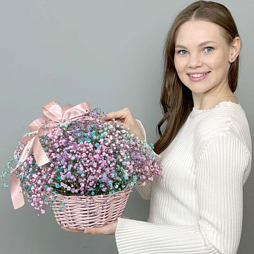 Радужная гипсофила в корзине Радужная гипсофила в корзине