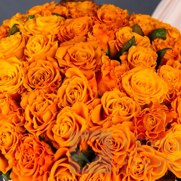 51 оранжевая роза в большой розовой шляпной коробке №597