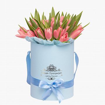 25 розовых тюльпанов в голубой маленькой шляпной коробке №545 25 розовых тюльпанов в голубой маленькой шляпной коробке №545