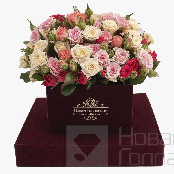 15 кустовых роз микс в бархатной шкатулке