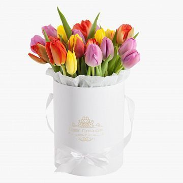25 тюльпанов микс в белой маленькой шляпной коробке №550 25 тюльпанов микс в белой маленькой шляпной коробке №550