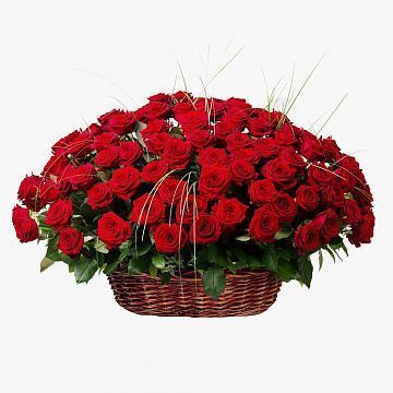 151 красная роза в корзине