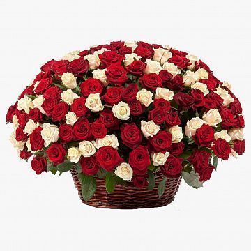 Композиция 301 красная и белая роза в корзине