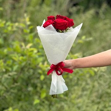 Букет из 5 красных роз (15) Букет из 5 красных роз (15)