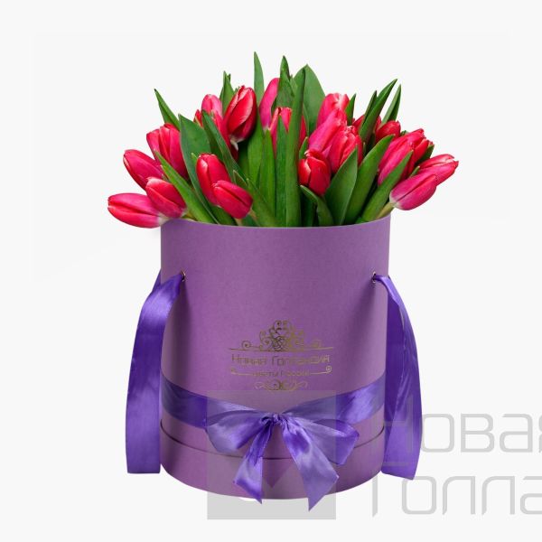 35 малиновых тюльпанов в сиреневой шляпной коробке №230