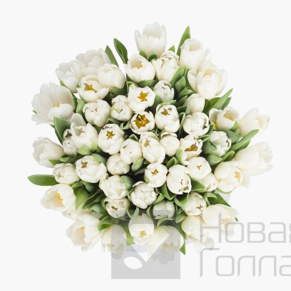 59 белых тюльпанов в большой голубой шляпной коробке №512