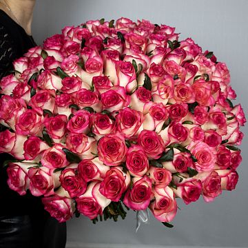 Букет 101 розовая роза 50 см