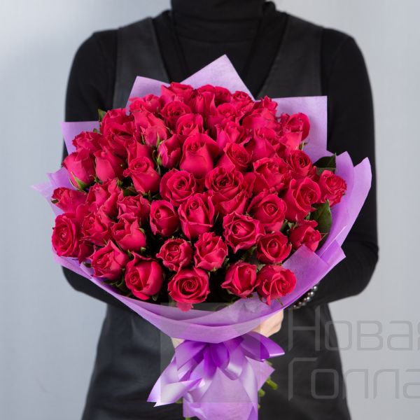 Букет 51 малиновая роза Кения  40 см в упаковке