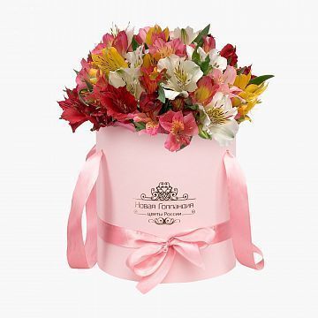 25 альстромерий микс в розовой шляпной коробке №781