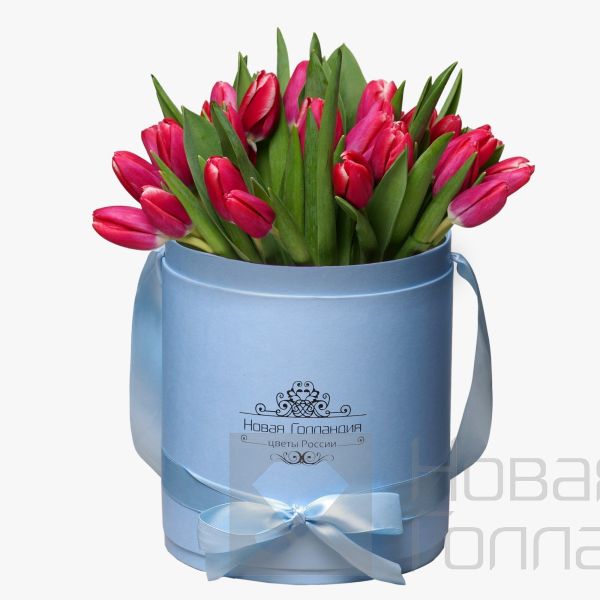 35 малиновых тюльпанов в голубой шляпной коробке №228