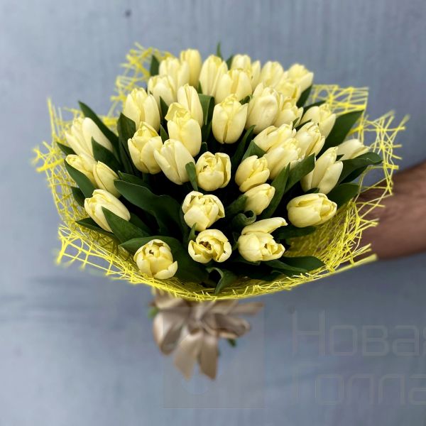 Букет 35 кремовых тюльпанов