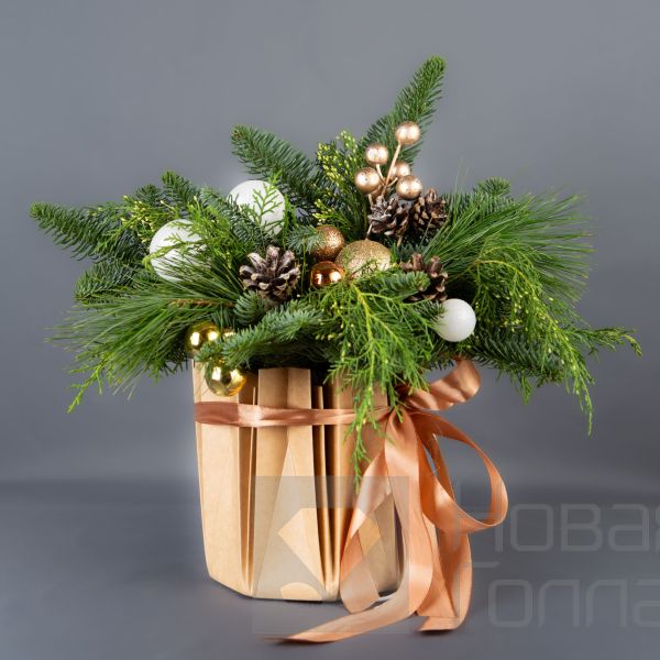 Композиция «Зимнее сияние в аквабоксе»