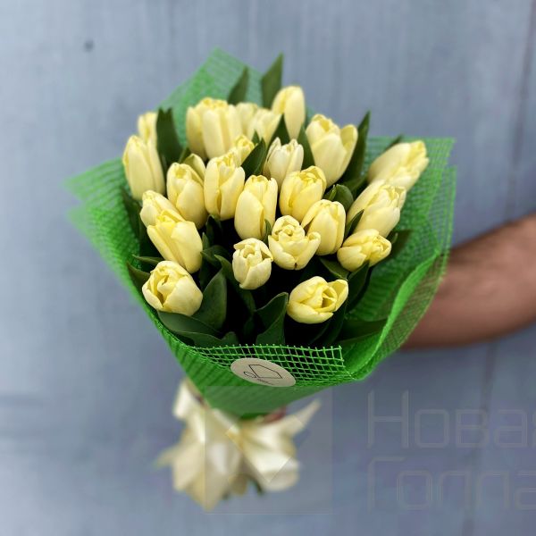 Букет 25 кремовых тюльпанов