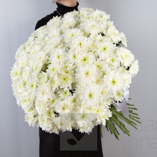 Букет облако из 51 хризантемы