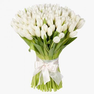 Букет 101 белый тюльпан Букет 101 белый тюльпан