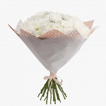 Букет 21 белая кустовая хризантема Букет 21 белая кустовая хризантема
