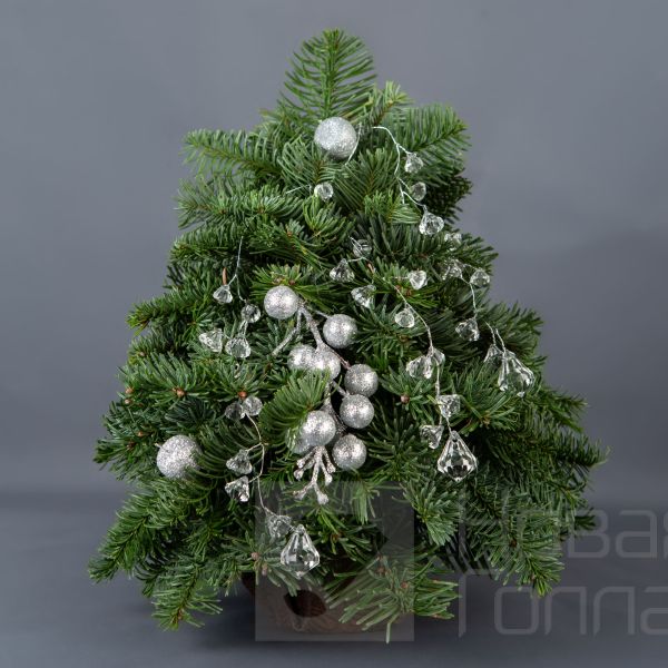 Ёлочка 25 см № 2