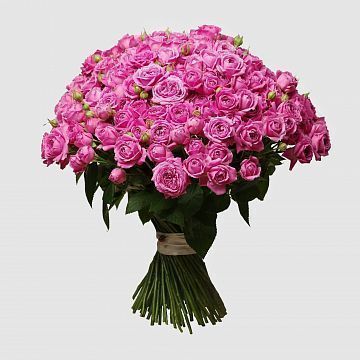 101 розовая кустовая пионовидная роза 101 розовая кустовая пионовидная роза