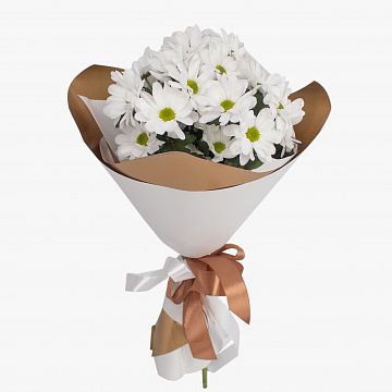 Букет из 3 белых  ромашковых хризантем Букет из 3 белых  ромашковых хризантем