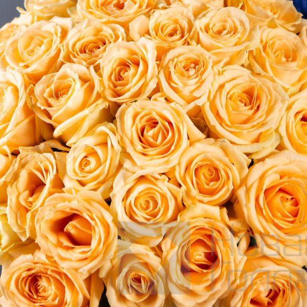 Букет 35 кремовых роз 40 см