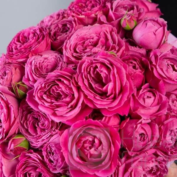 9 розовых кустовых пионовидных роз в маленькой розовой коробке №292