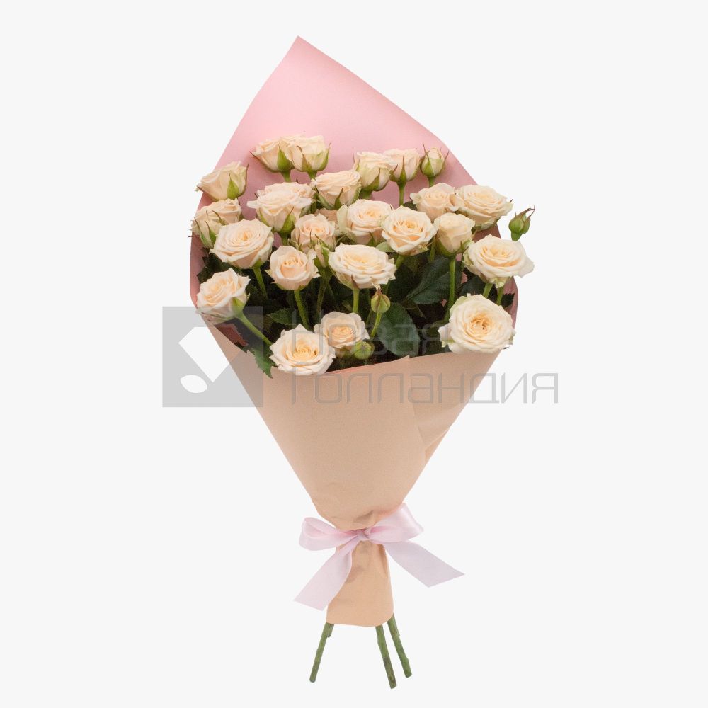 Букет 5 кремовых кустовых роз