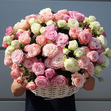 Сердце принцессы