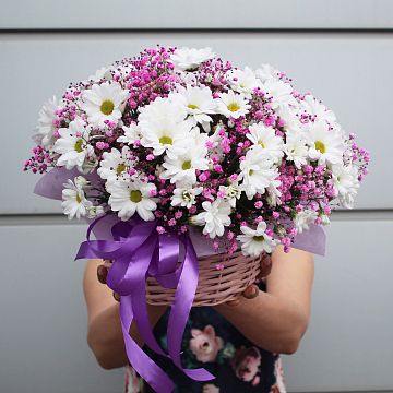 Ромашковые хризантемы в корзине - 3 Ромашковые хризантемы в корзине - 3