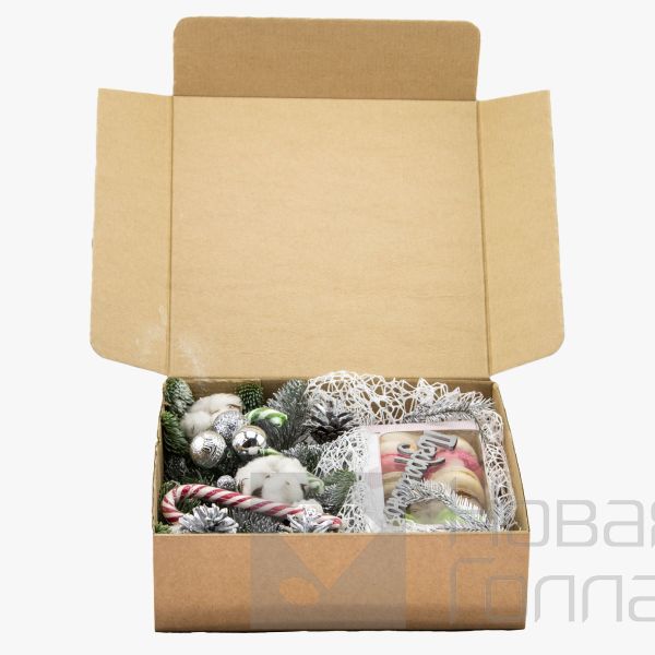 Новогодний подарок-5