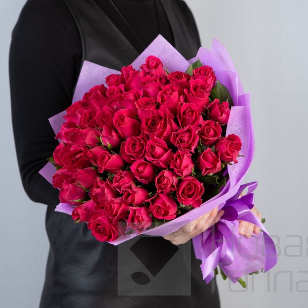 Букет 51 малиновая роза Кения  40 см в упаковке
