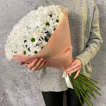 Букет 21 белая ромашковая хризантема
