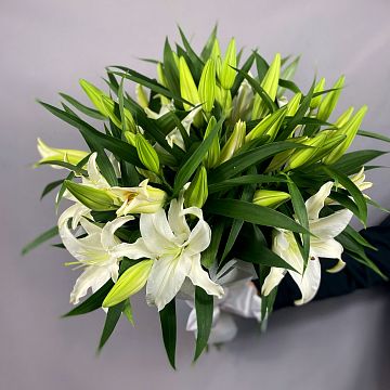 Букет из 7 лилий Букет из 7 лилий