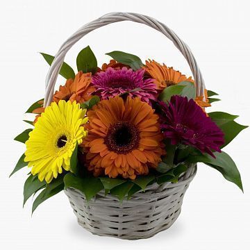 9 гербер в маленькой корзине 9 гербер в маленькой корзине