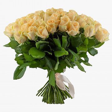Букет 75 кремовых роз 40 см Букет 75 кремовых роз 40 см