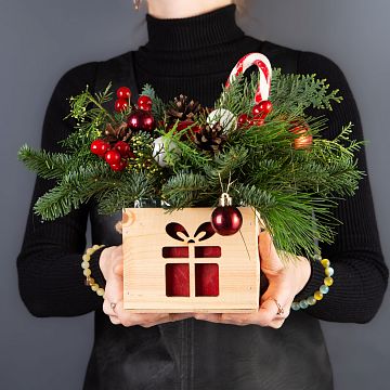 Композиция в кашпо елочка № 3