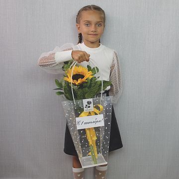 Подсолнух в сумочке