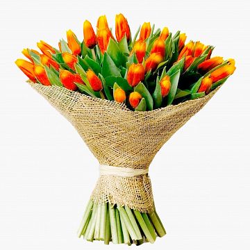 Букет 51 Красно-рыжий Тюльпан Букет 51 Красно-рыжий Тюльпан