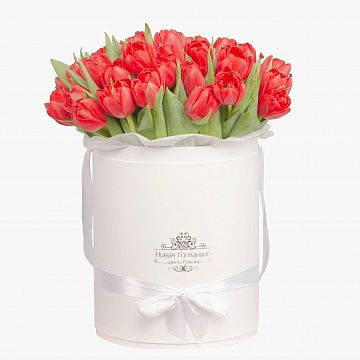 59 красных тюльпанов в большой белой шляпной коробке №503 59 красных тюльпанов в большой белой шляпной коробке №503