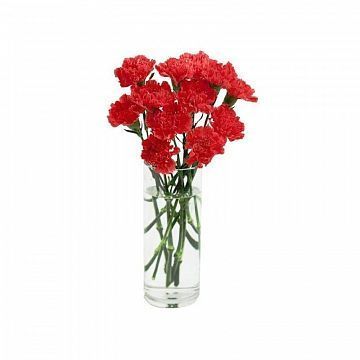 Букет из 11 гвоздик