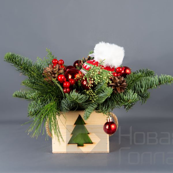 Композиция в кашпо елочка № 4